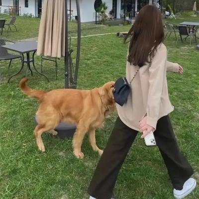 我不在的时候